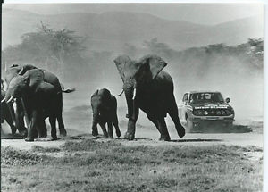 East african safari motor lifestyle003